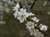 春暖花开