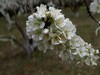 春暖花开