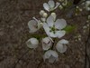 春暖花开