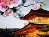 极简艺术打造精品生活! BOE Alta首测