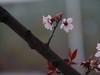 阴雨天随拍