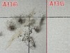 吸猫大法好！睿米NEX2 Pro无线吸尘器评测