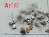 吸猫大法好！睿米NEX2 Pro无线吸尘器评测