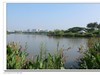 周日海珠湖晨运，请跟我G12游走一圈。（40P）