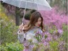 人像散片