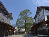 溜达了一圈