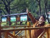 溜达了一圈