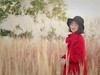 芦苇花人像