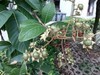 索尼Z3室外拍照样张