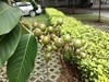 索尼Z3室外拍照样张