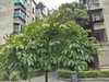 索尼Z3室外拍照样张