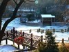 青岛岭山小景