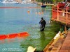 滇池海埂治理蓝藻速写（手机拍摄）