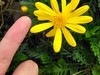 官方样片摄影师谈4800W三摄X27影像表现