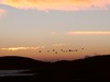 大山包风光