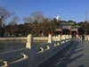 北海公园--恭贺好友