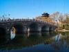 新年随拍——明湖冬景似春光
