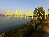夕辉洒公园