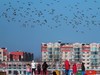 《冰雪寒江飞鸭图》