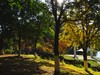 冬日小景   3