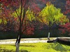 冬日小景   3