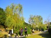 冬日小景   3