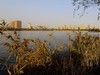 夕辉洒公园