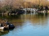 新年随拍——明湖冬景似春光