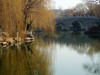 新年随拍——明湖冬景似春光