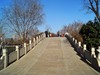 新年随拍——明湖冬景似春光