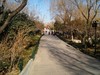 新年随拍——明湖冬景似春光