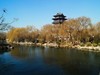 新年随拍——明湖冬景似春光