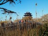 新年随拍——明湖冬景似春光