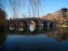 新年随拍——明湖冬景似春光