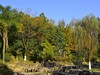 冬日小景   3