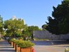 冬日小景   3