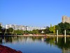 冬日小景   3