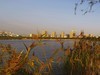 夕辉洒公园