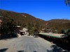 节日里的公园风景3.