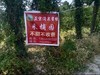涌泉蜜桔采摘游，不虚此行