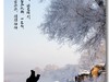 北国风光