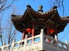 分享蓝天、白云的好天气！