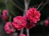 春暖花开