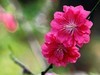 春暖花开