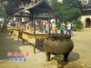 【归元纪实】《随缘随喜》