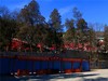 节日里的公园风景3.