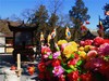 节日里的公园风景3.