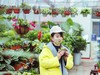 花语花香！