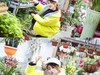 花语花香！