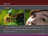 【友情交流】摄影三坐标之距离/画幅景别